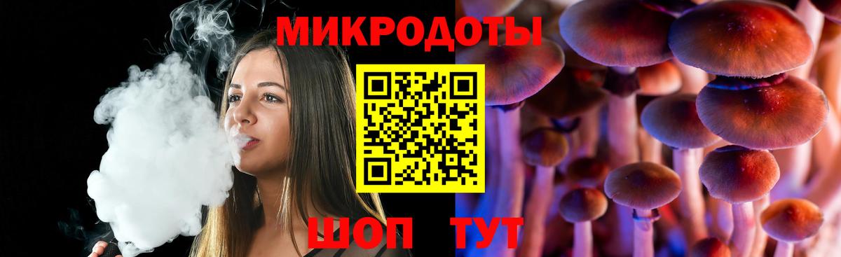 Тихорецк  Галлюциногенные грибы Psilocybe  Вход с VPN 